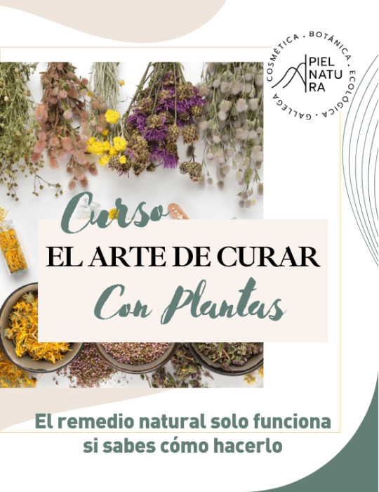 Curso el arte de curar con plantas