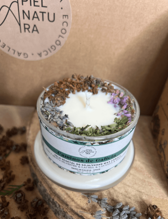 Vela edición de Campana Caminos de Galicia