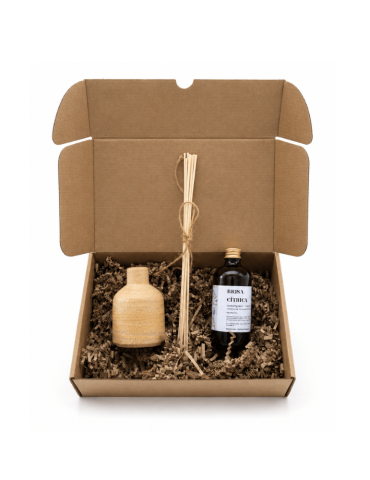 Brisa Cítrica | Ambientador de Varillas Natural en Cerámica Artesanal