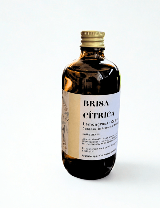 Brisa Cítrica | Ambientador de Varillas Natural en Cerámica Artesanal