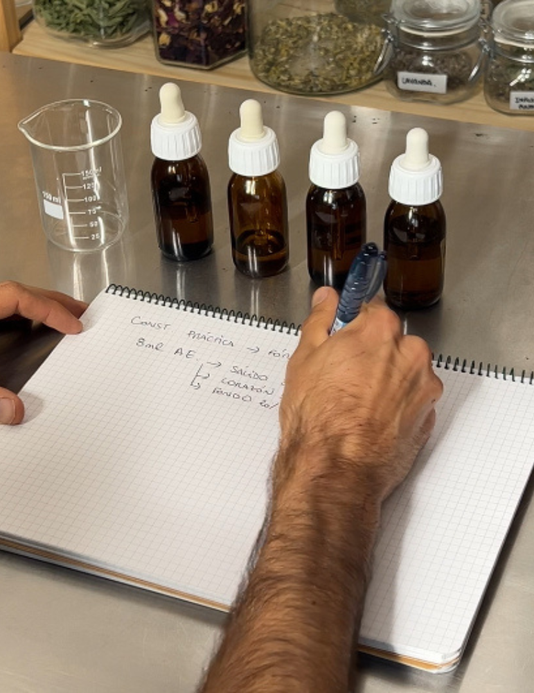 Perfumes Naturales Sin tóxicos